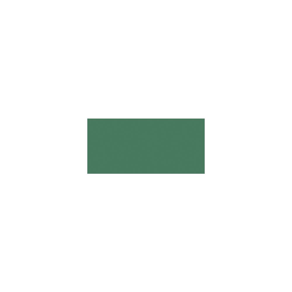 Pigment barevný koncentrovaný 25ml zelený