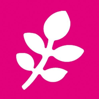 Výsekový strojek raznice 25x17mm List 