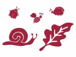 Šablona 20x15cm hmyz šnek