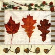 Sada ubrousků 33x33cm 20ks list