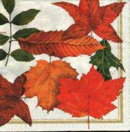 Sada ubrousků  33x33cm 20ks listy