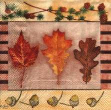 Ubrousek 25x25cm listy dub