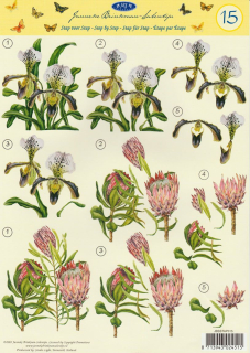 3D vystřihovánky A4 květy