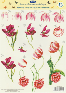 3D vystřihovánky A4 tulipán