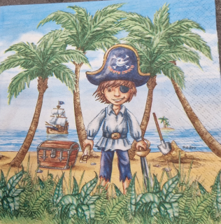 Ubrousek 33x33cm Pirát