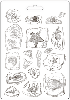 Forma na odlévání A5 Fosilie