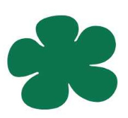 Barva na svíčky 10g tm.zelená