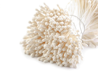 Pestíky do květin 6cm nejsv. krémová mat