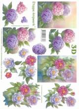 3D vystřihovánky A4 hortenzie 1ks