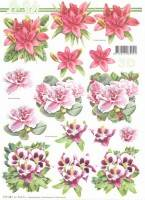 3D vystřihovánky A4