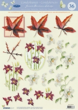 3D vystřihovánky A4 