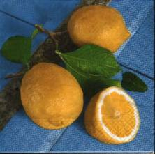 Ubrousek 33x33cm citron