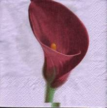 Ubrousek 33x33cm kala