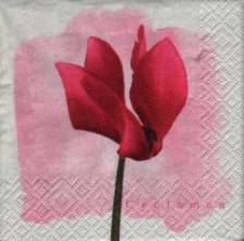 Ubrousek 25x25cm brambořík