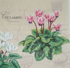 Ubrousek 25x25cm brambořík