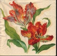 Sada ubrousků 33x33cm 20ks