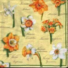 Ubrousek 33x33cm narcis