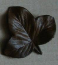 Lístek, přírodní hovězin.hlazenice 6x5,2