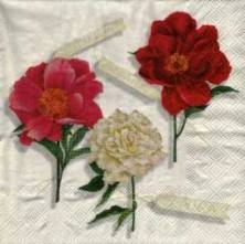 Ubrousek 33x33cm
