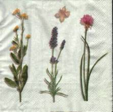 Ubrousek 33x33cm byliny