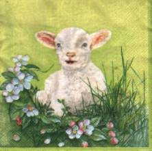 Ubrousek 33x33cm beránek ovečka