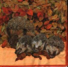 Ubrousek 33x33cm ježek