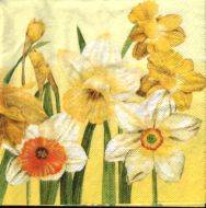 Ubrousek 33x33cm narcis