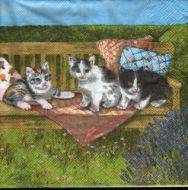 Ubrousek 33x33cm kočky