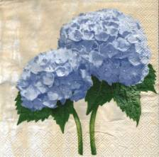 Ubrousek 33x33cm hortenzie