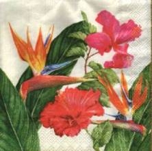 Sada ubrousků 33x33cm 20ks