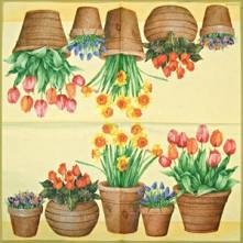 Sada ubrousků  33x33cm 20ks
