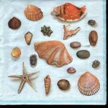 Sada ubrousků  33x33cm 20ks mušle