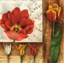 Sada ubrousků 33x33cm 20ks tulipán