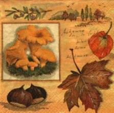 Ubrousek 33x33cm podzim