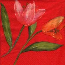 Ubrousek 33x33cm