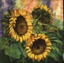 Ubrousek 33x33cm