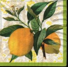 Ubrousek 33x33cm