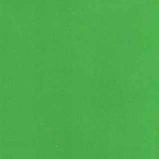 Pěnová guma Foamiran 30x35cm sv.zelená 1ks